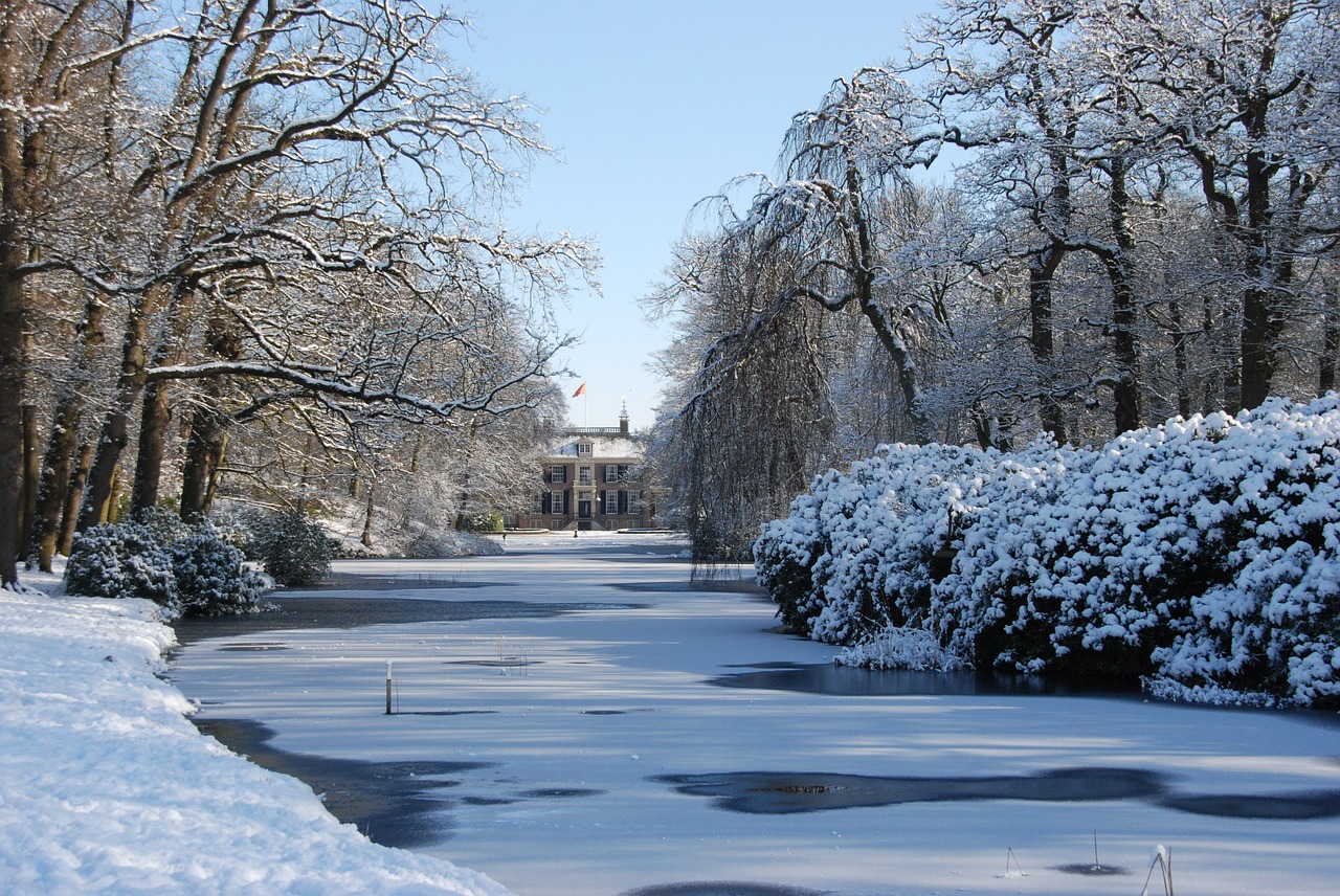 landscape nature winter free photo