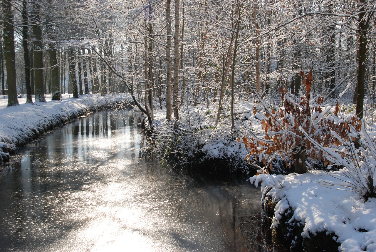 landscape nature winter free photo