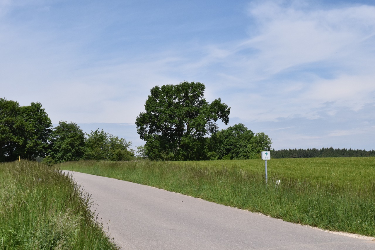 landscape road nature free photo