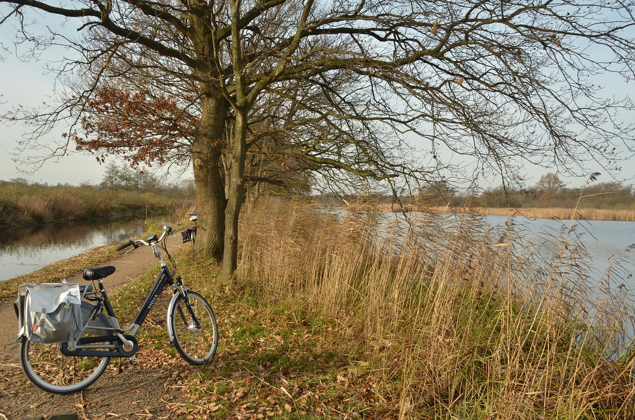 landscape autumn water free photo