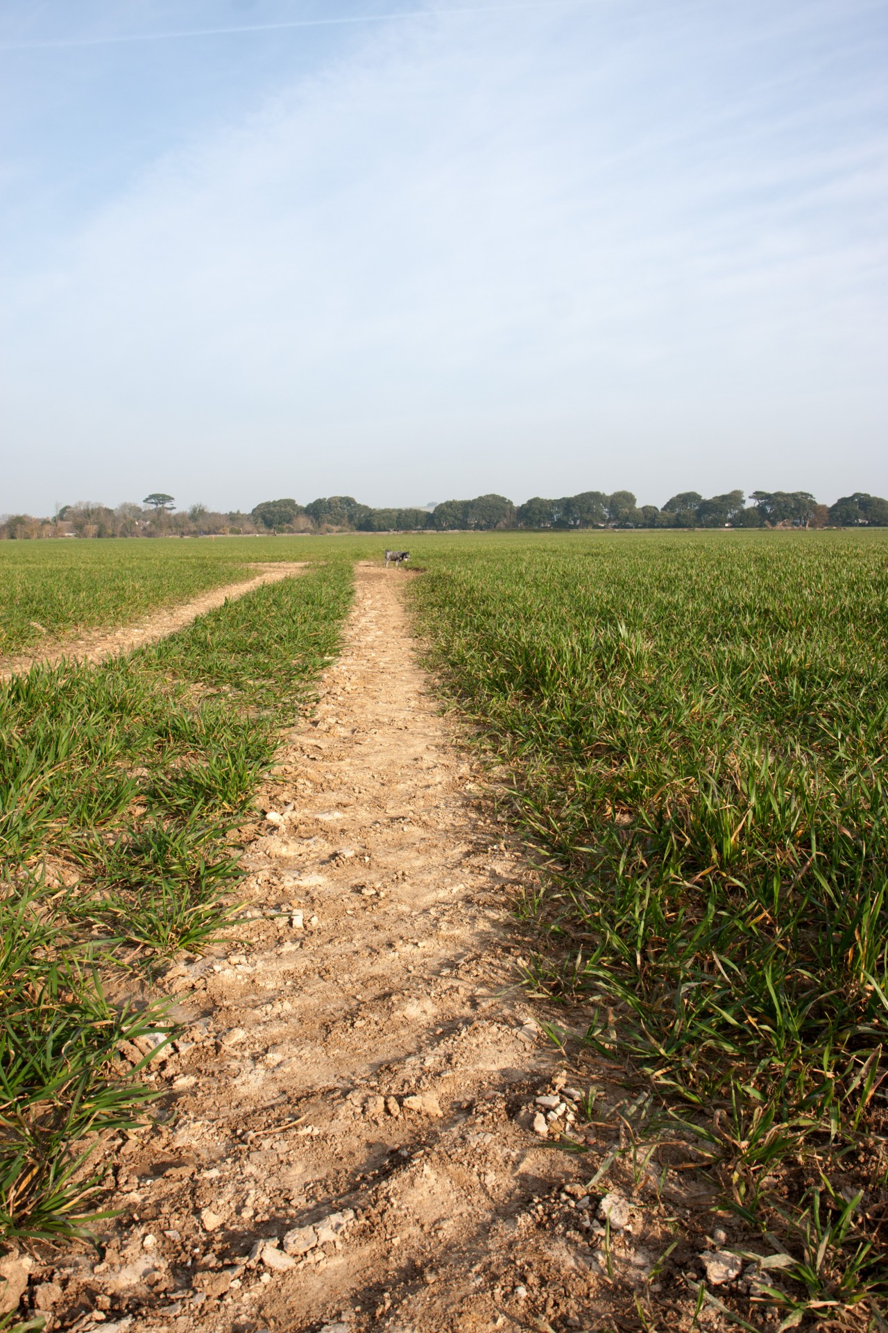 landscape farm farmland free photo