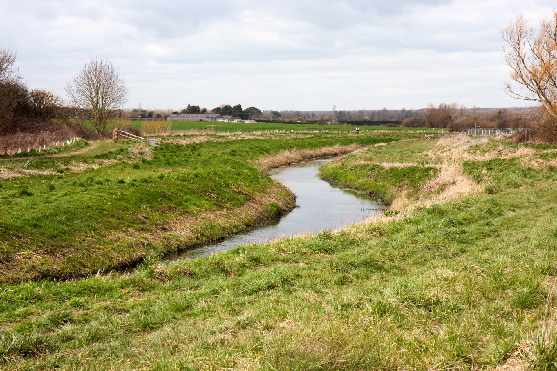 landscape spring stream free photo