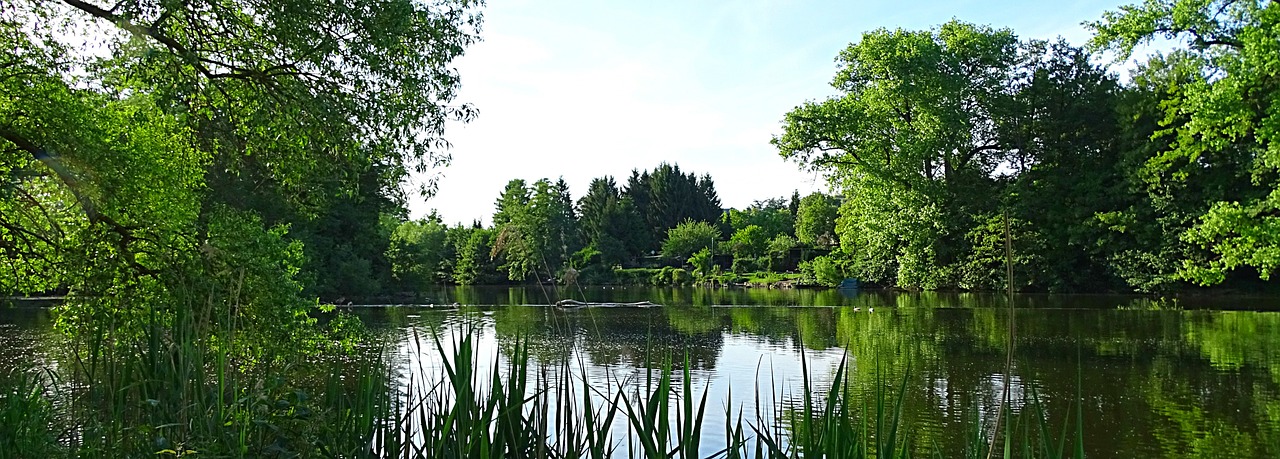 landscape water green free photo