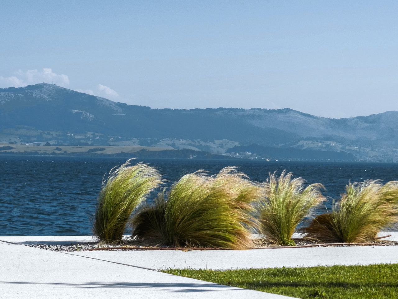 landscape costa wind plants free photo