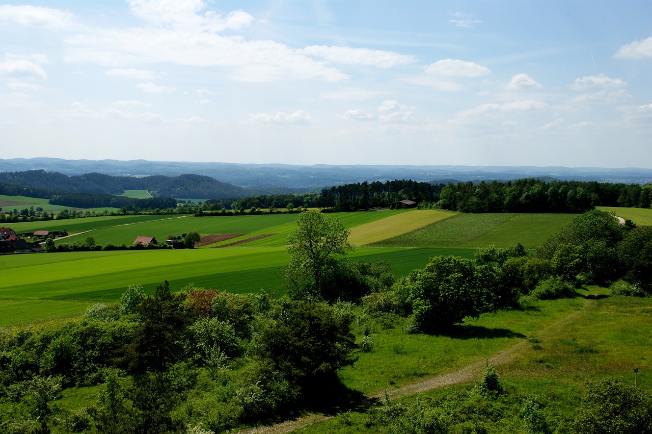 scenic pasture fields free photo