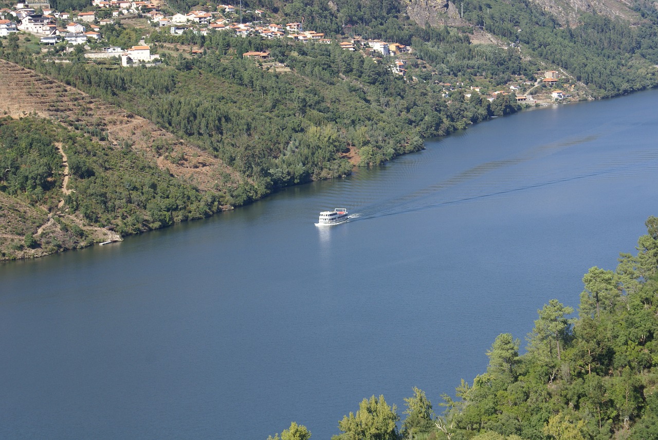 landscape river douro portugal free photo