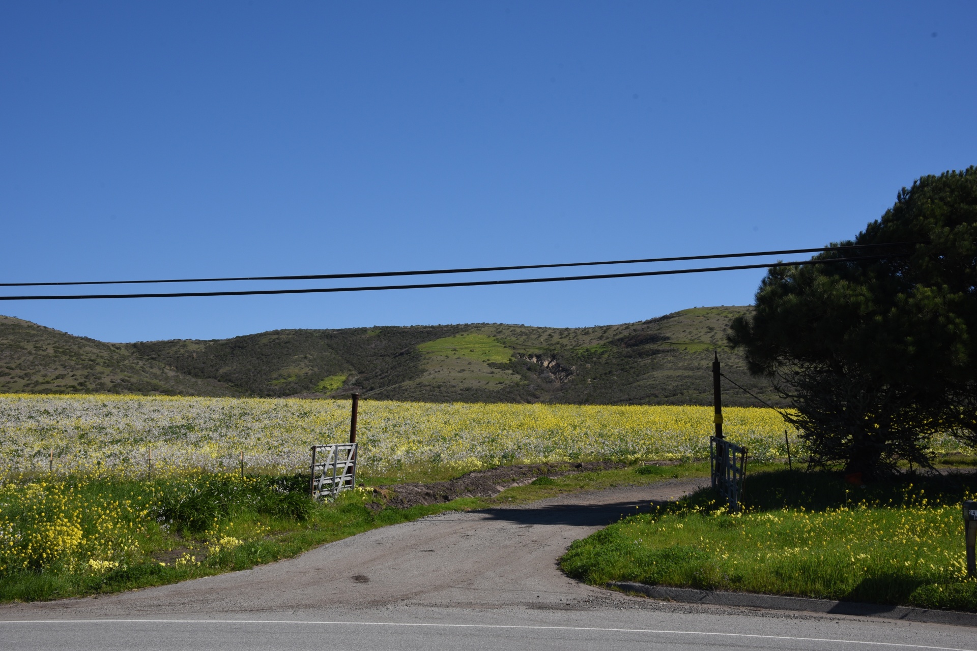 gate road landscape free photo