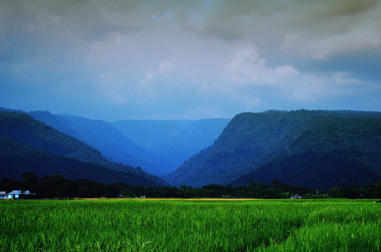 landscape sylhet nature free photo