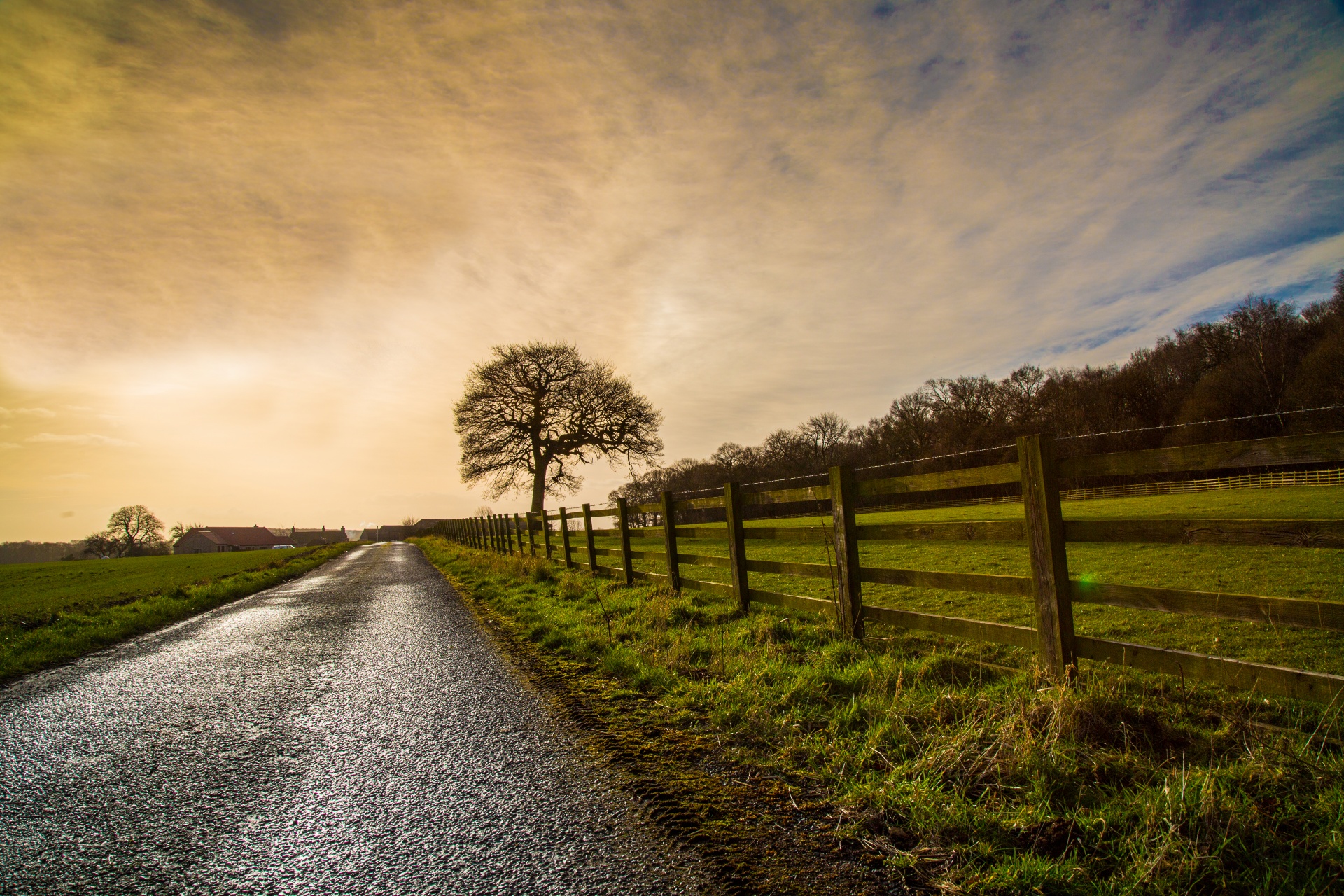 landscape nature sunset free photo