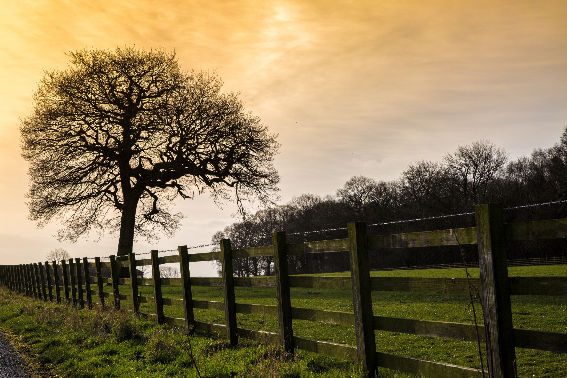 landscape nature sunset free photo