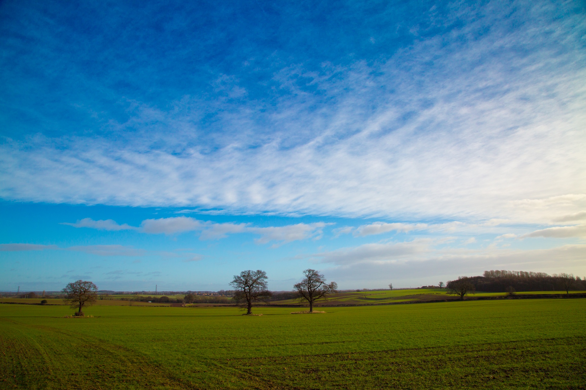 landscape nature tree free photo