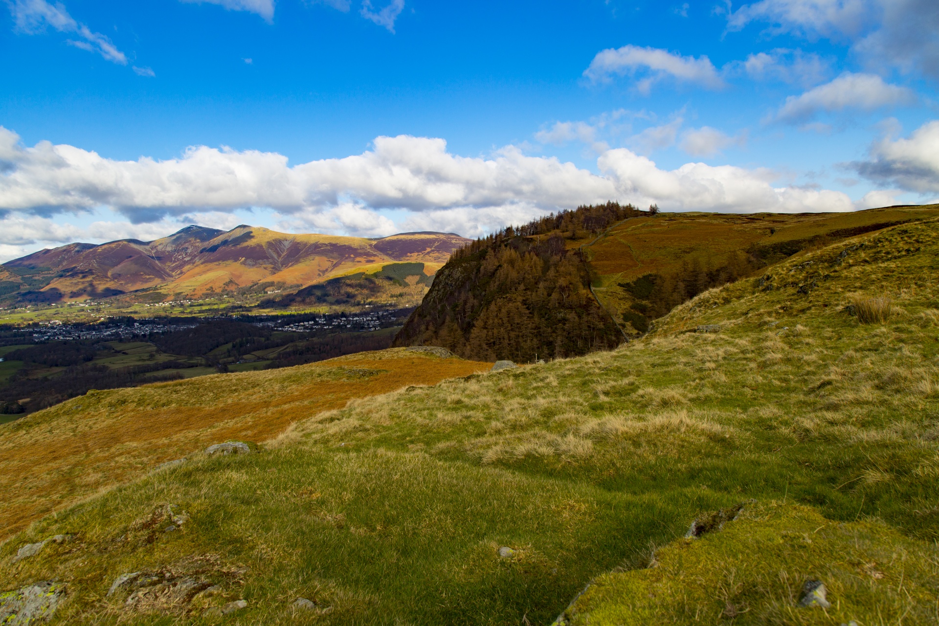 adventure britain brown knott free photo