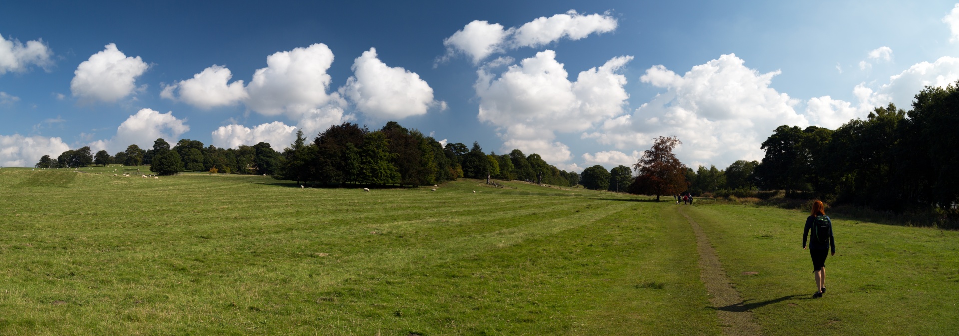 landscape nature tree free photo