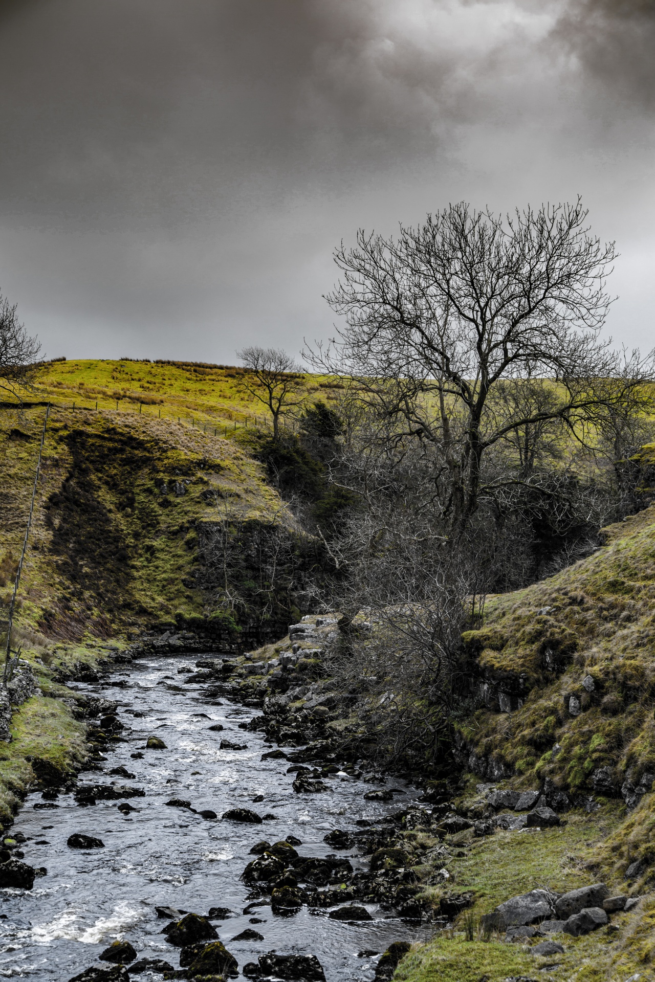 landscape nature tree free photo