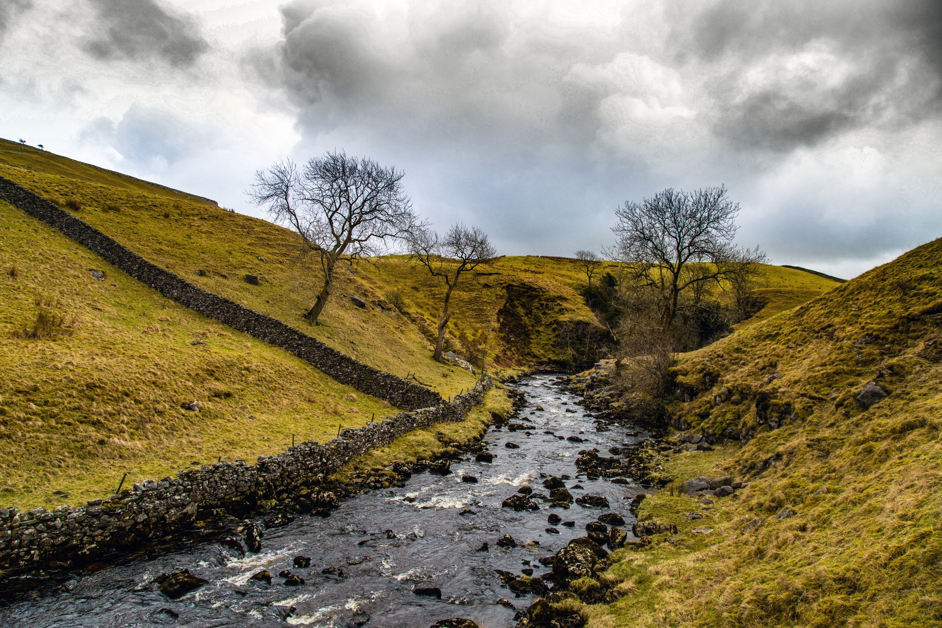 landscape nature tree free photo