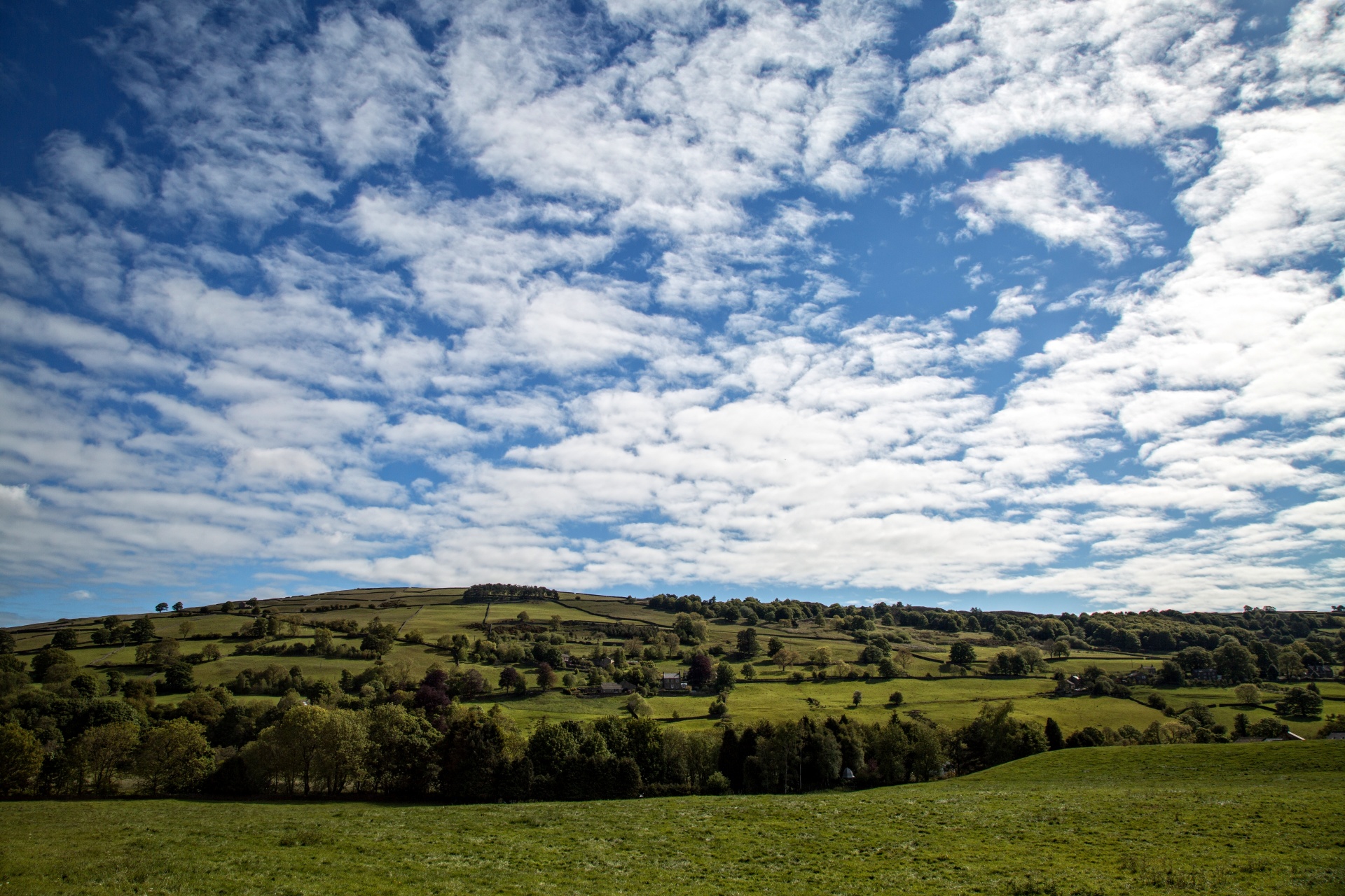 landscape nature tree free photo