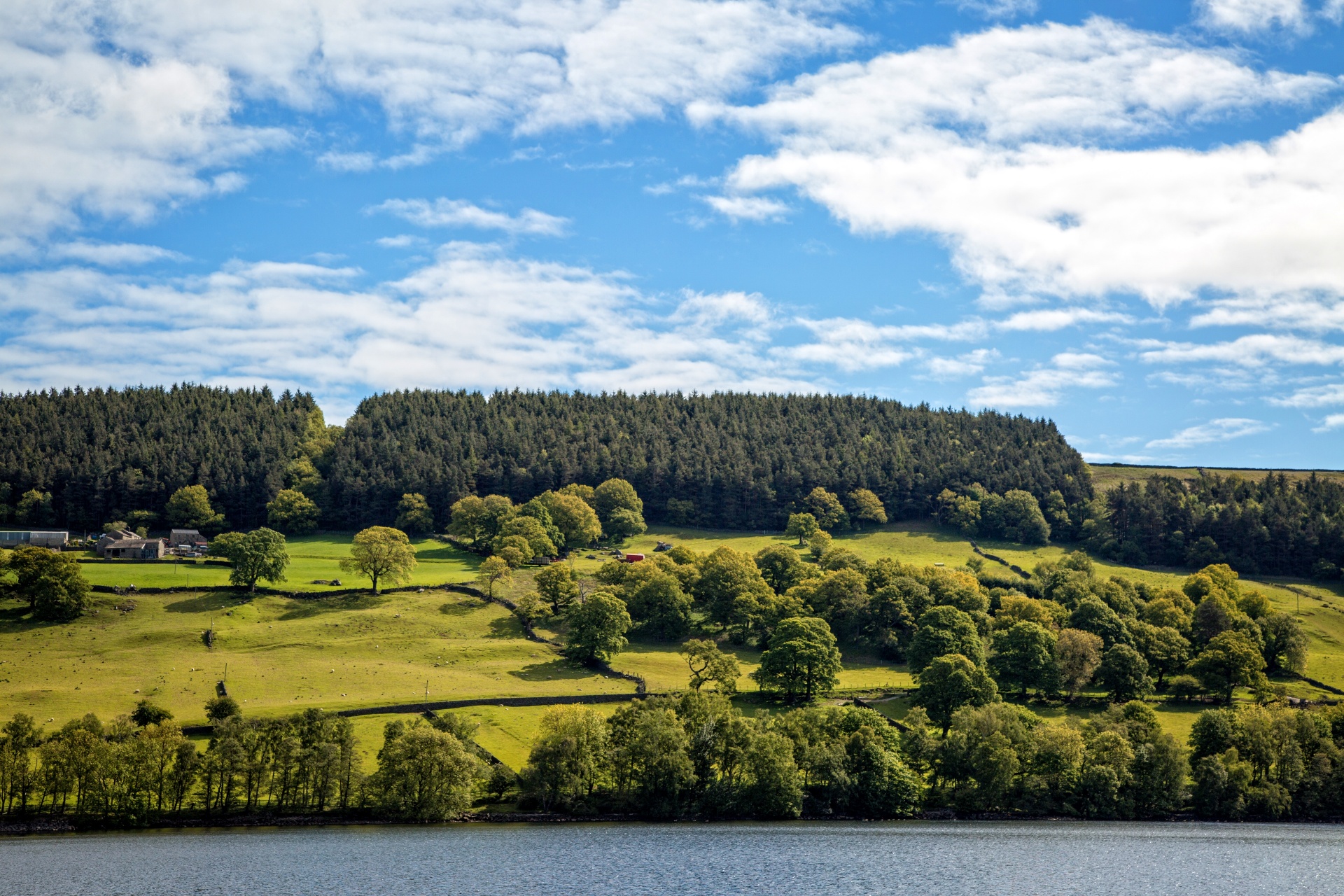 landscape nature tree free photo