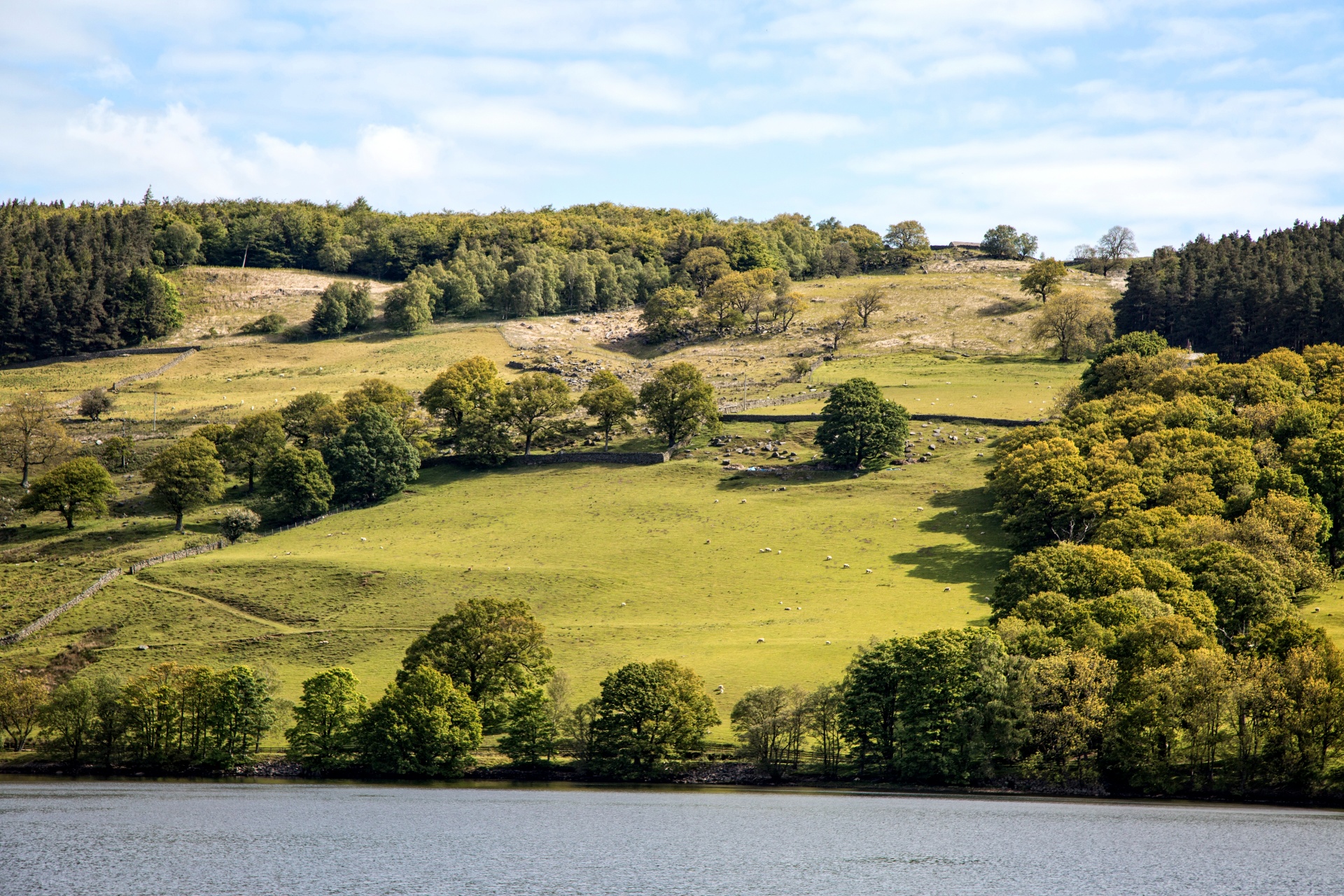 landscape nature tree free photo