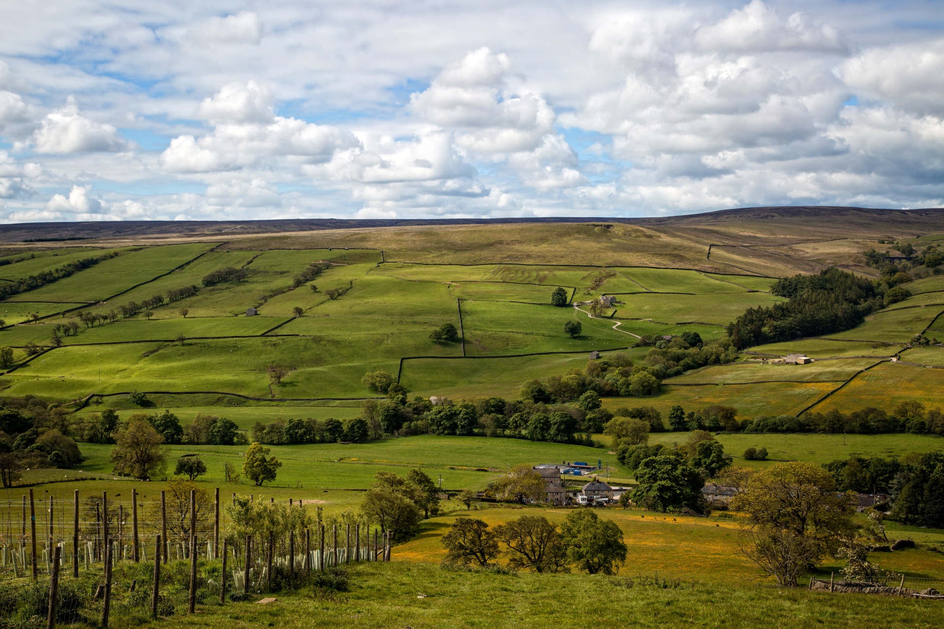 landscape nature tree free photo