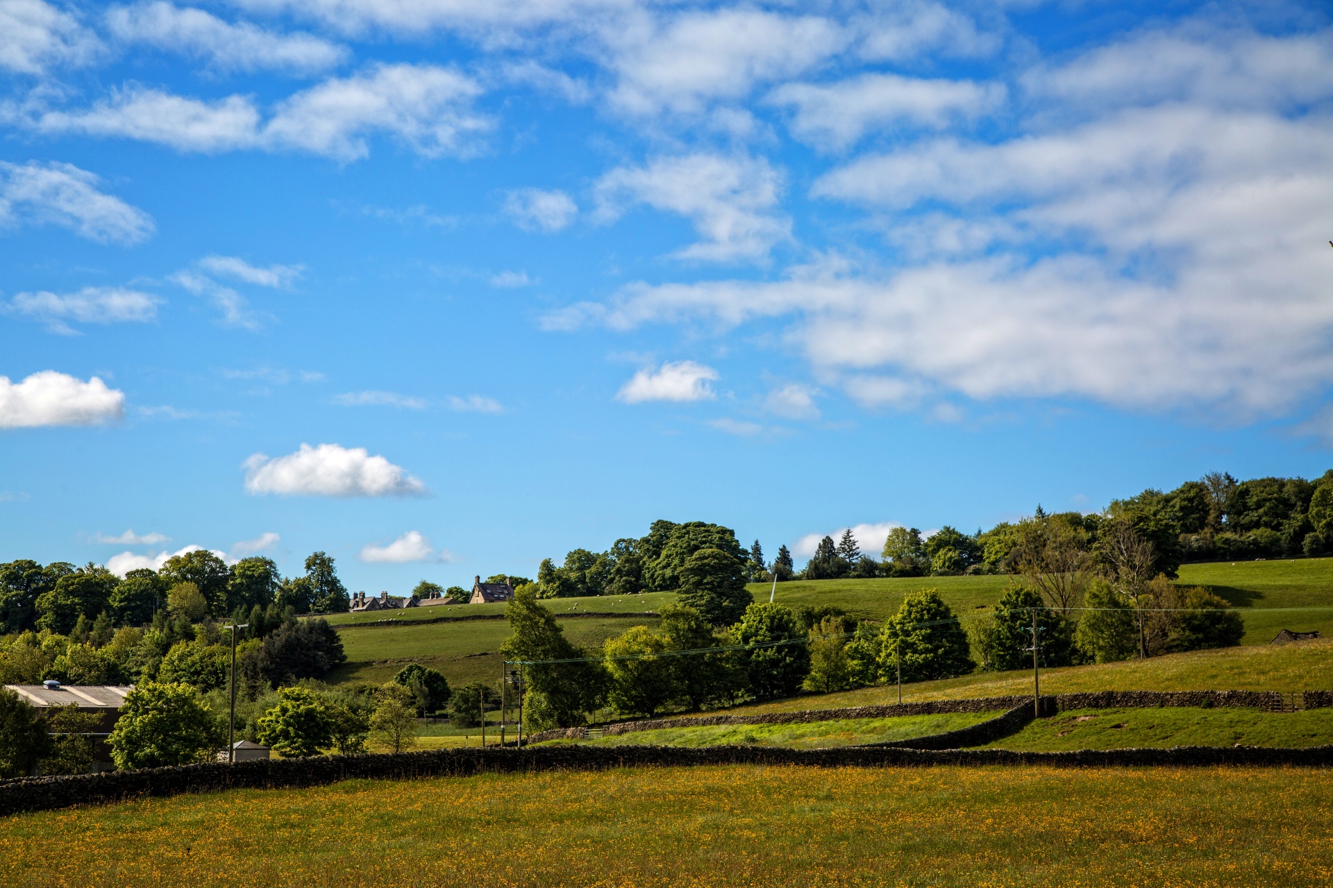 landscape nature tree free photo