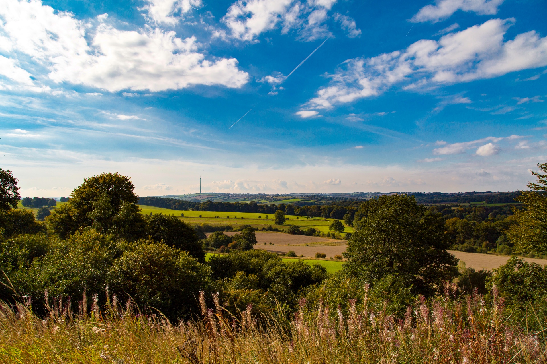 landscape nature tree free photo