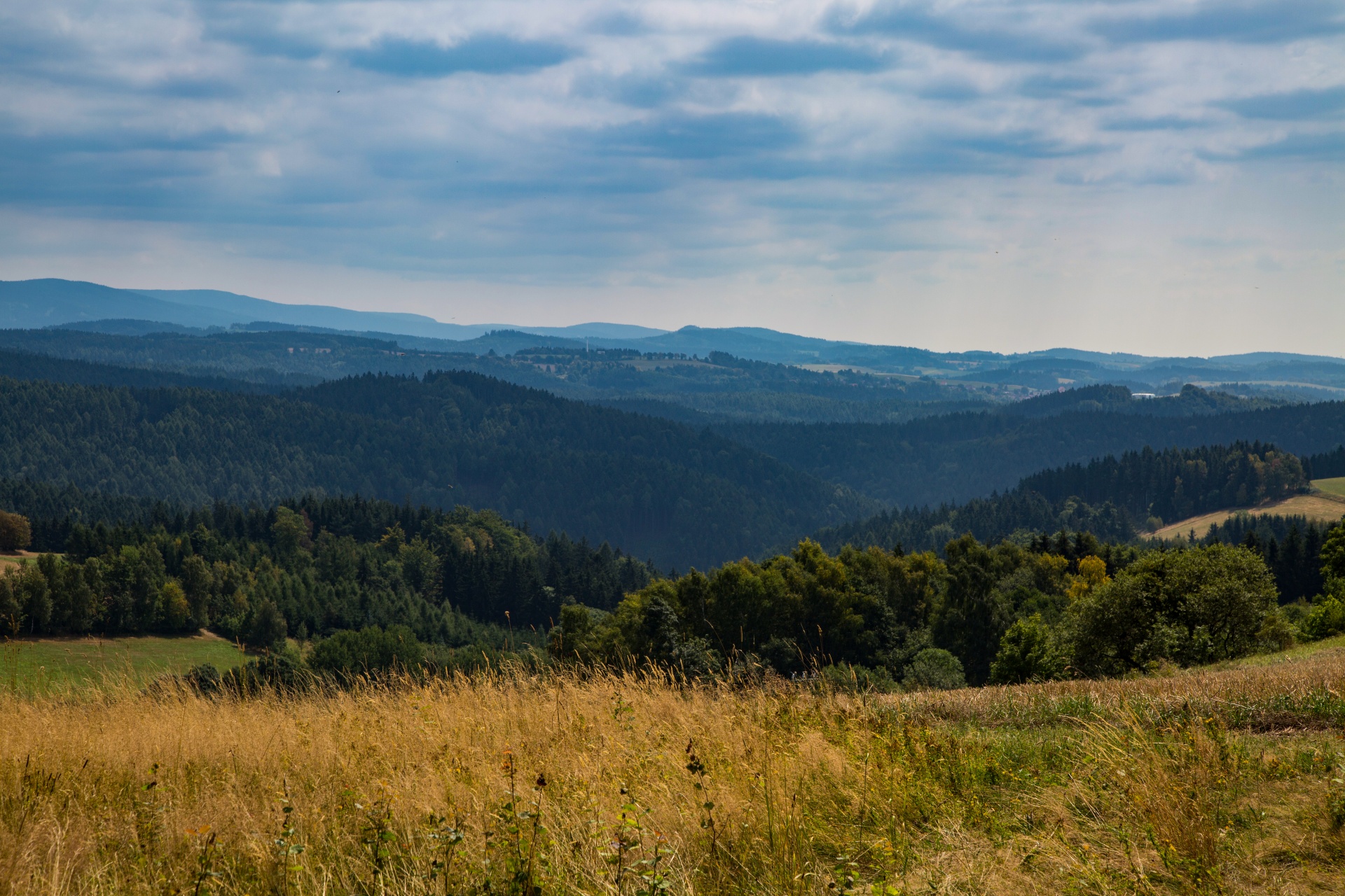 landscape nature tree free photo