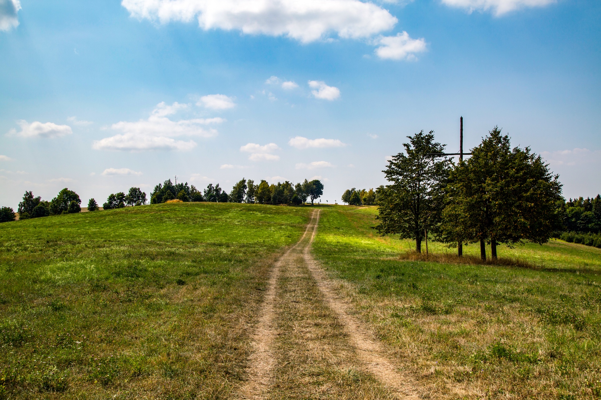 landscape nature tree free photo