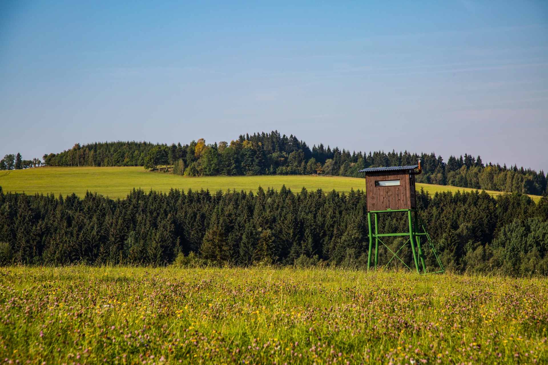 landscape nature tree free photo