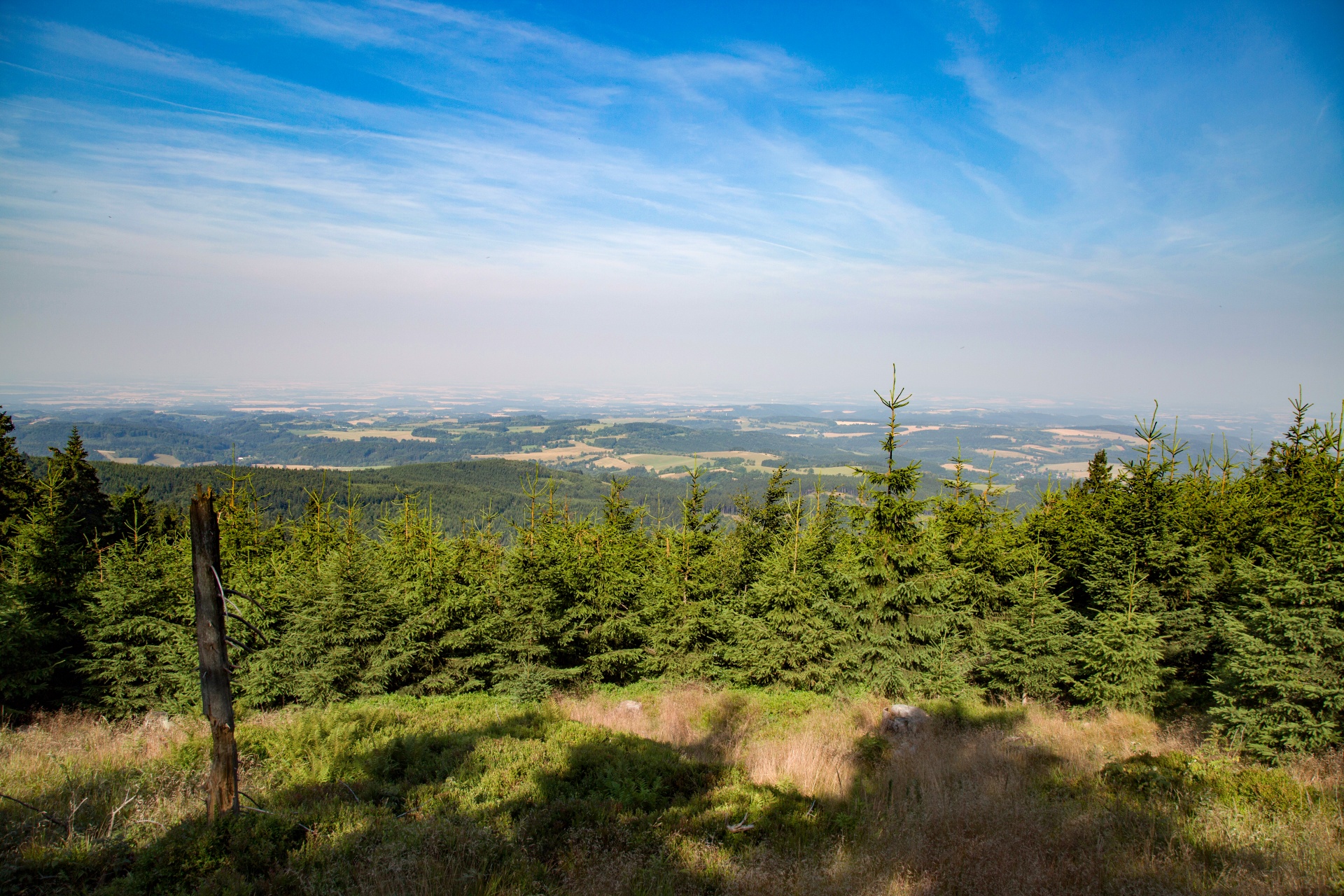 landscape nature tree free photo