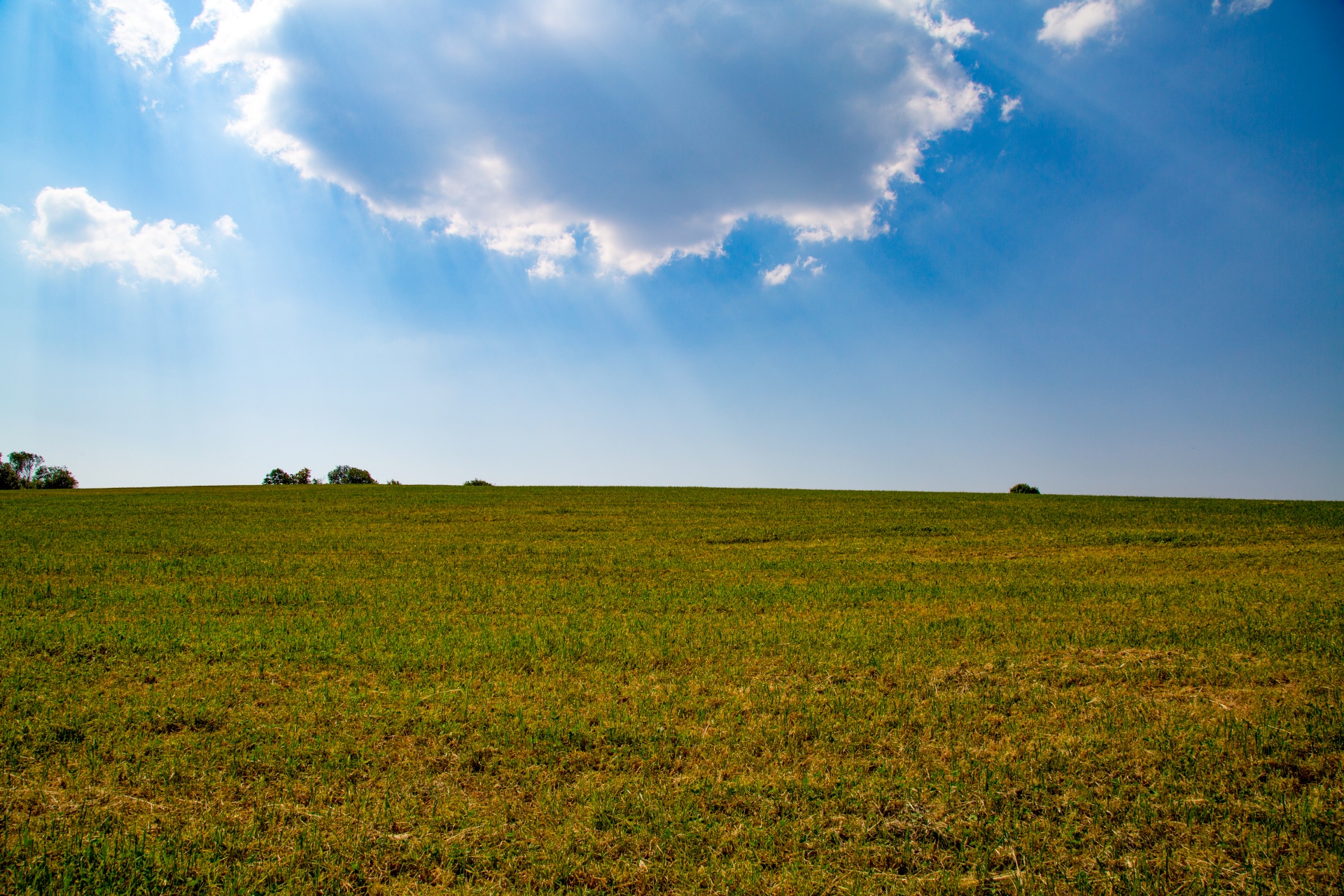 landscape nature tree free photo