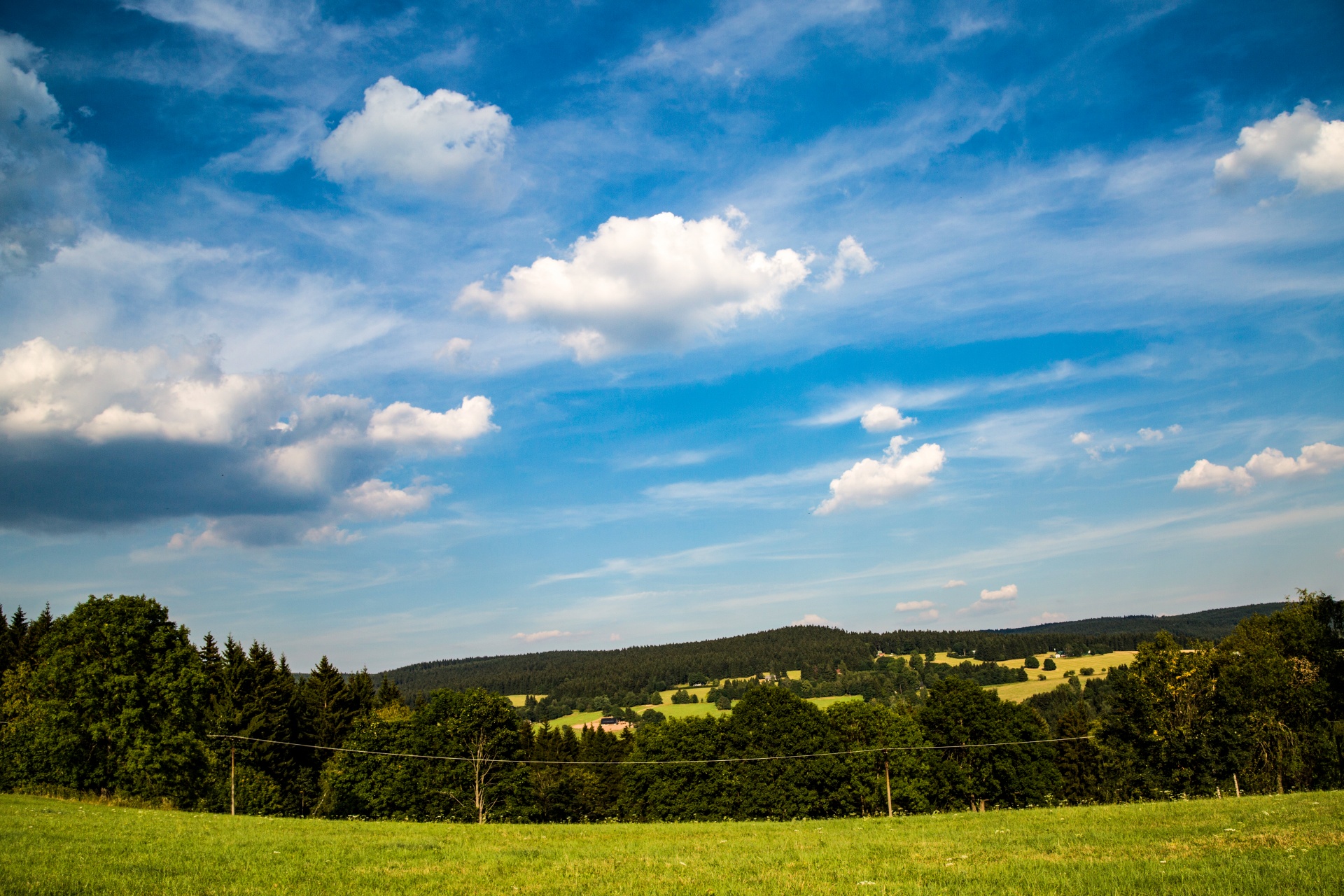 landscape nature tree free photo