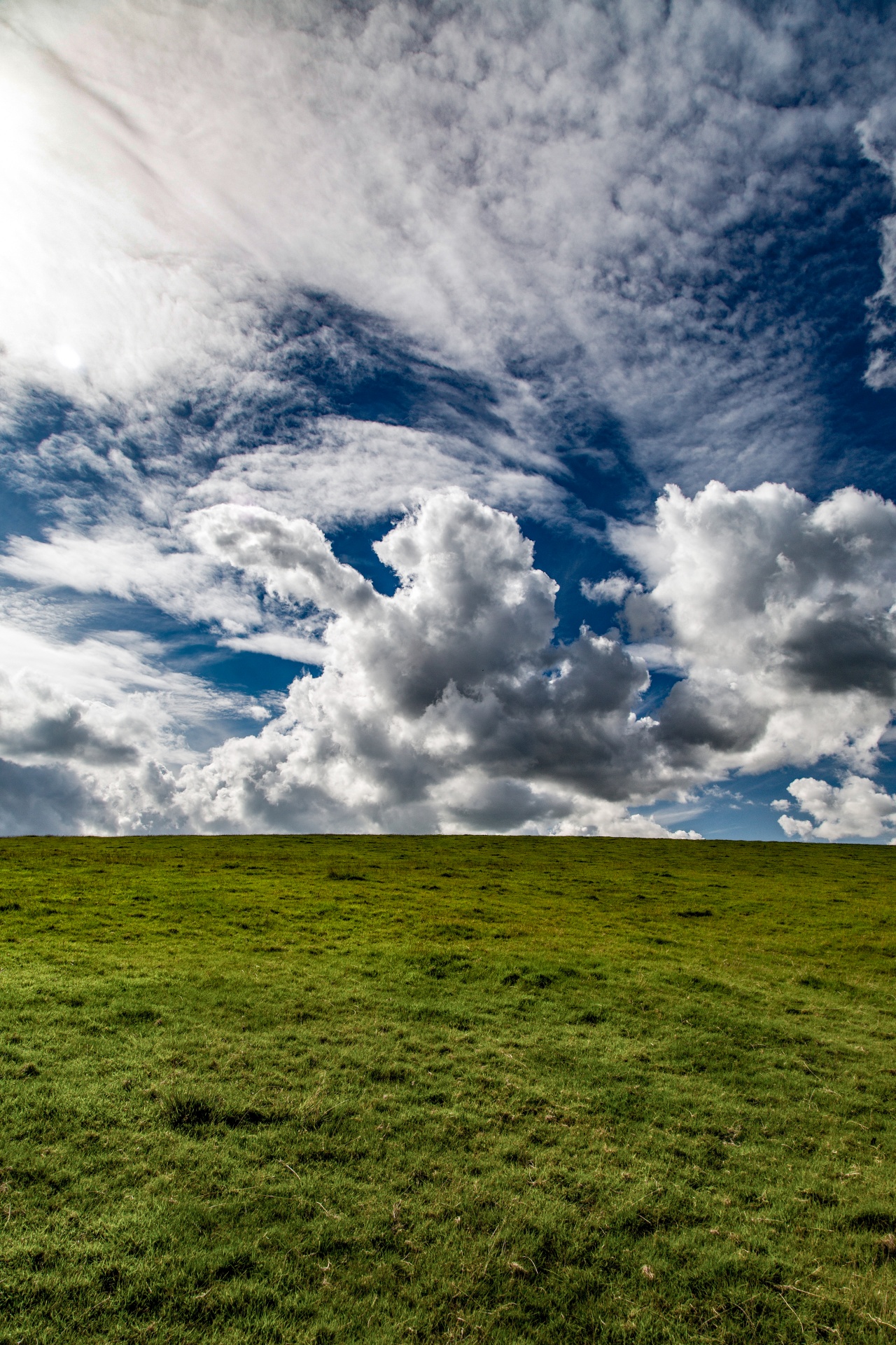 landscape nature tree free photo