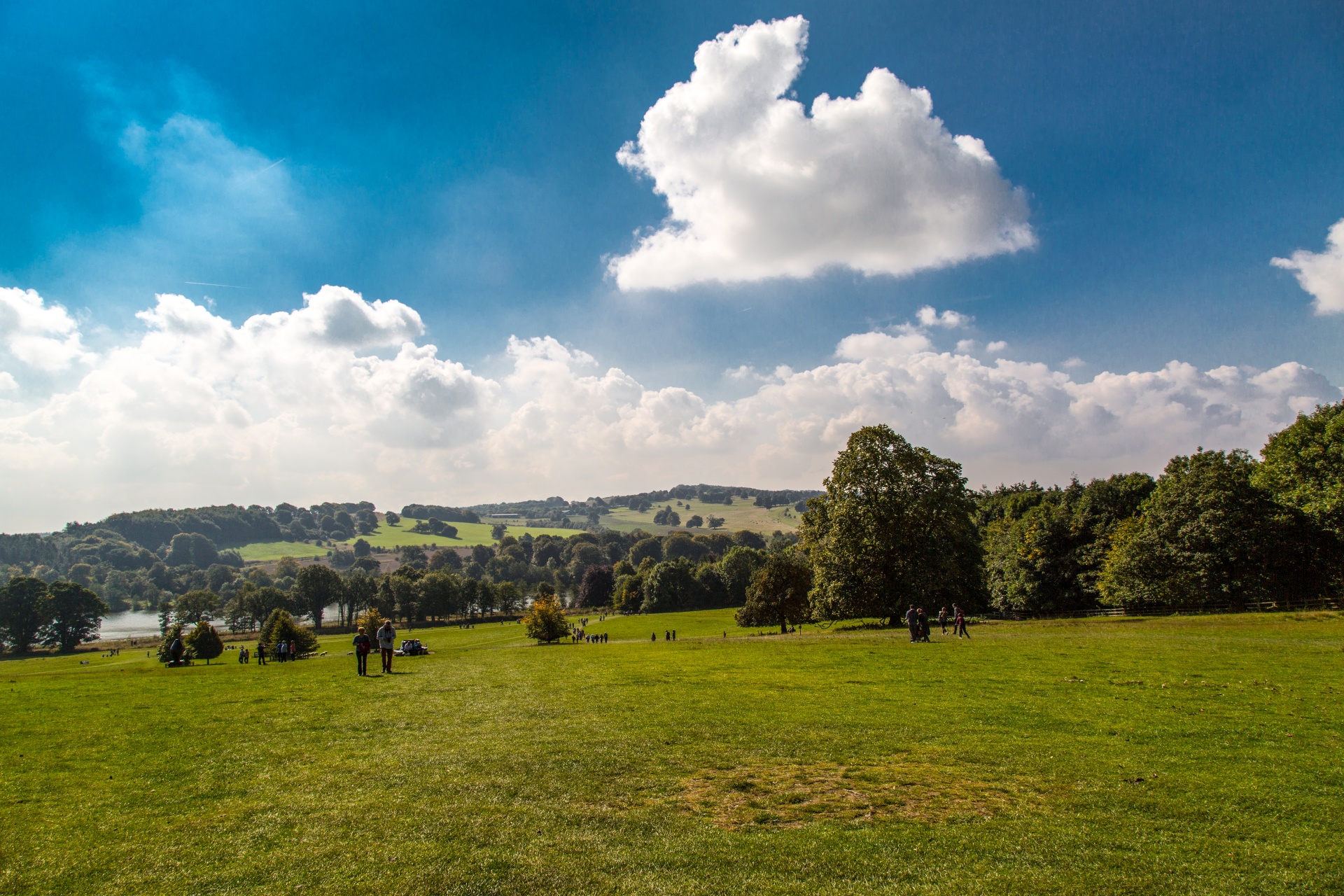 landscape nature tree free photo