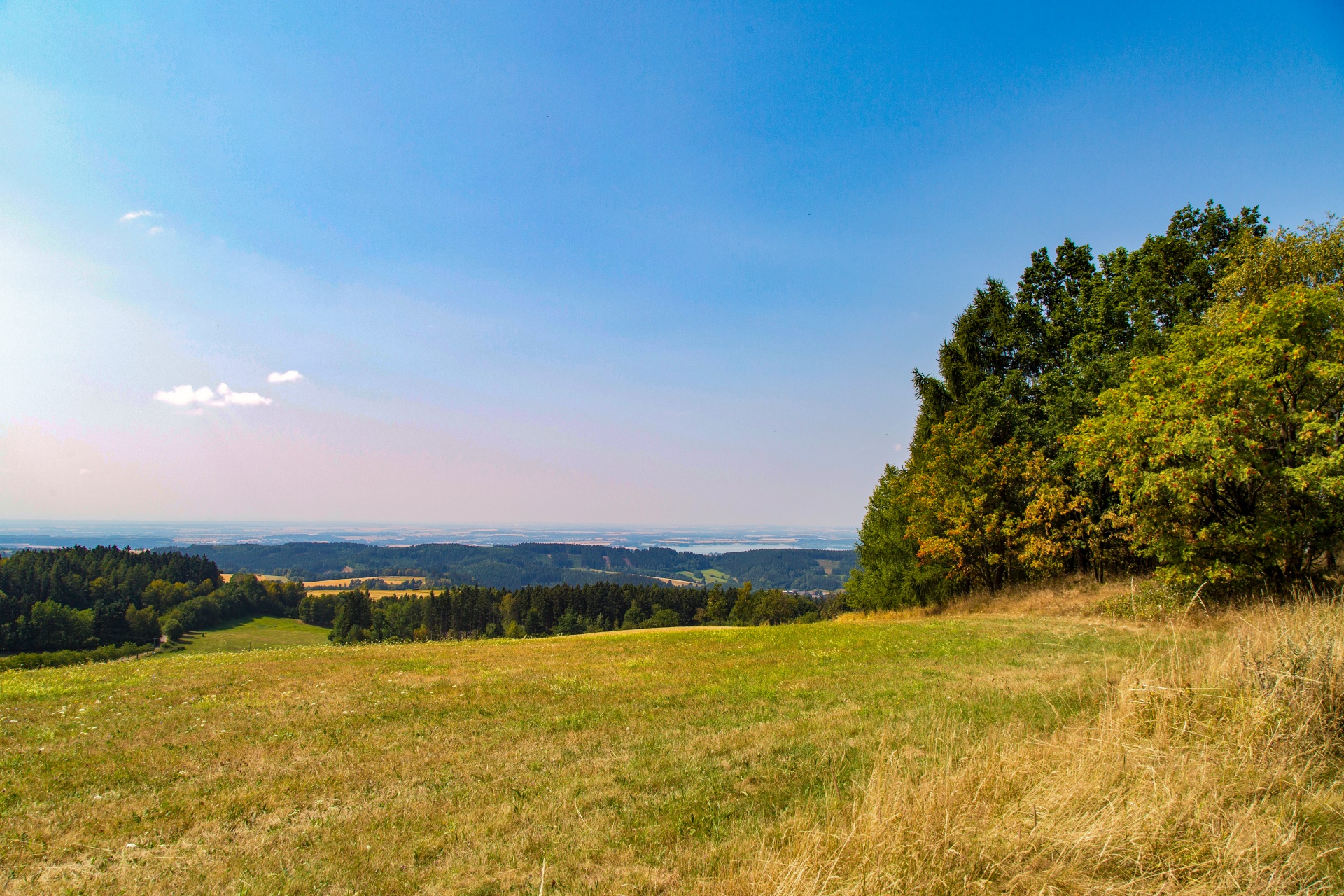 landscape nature tree free photo