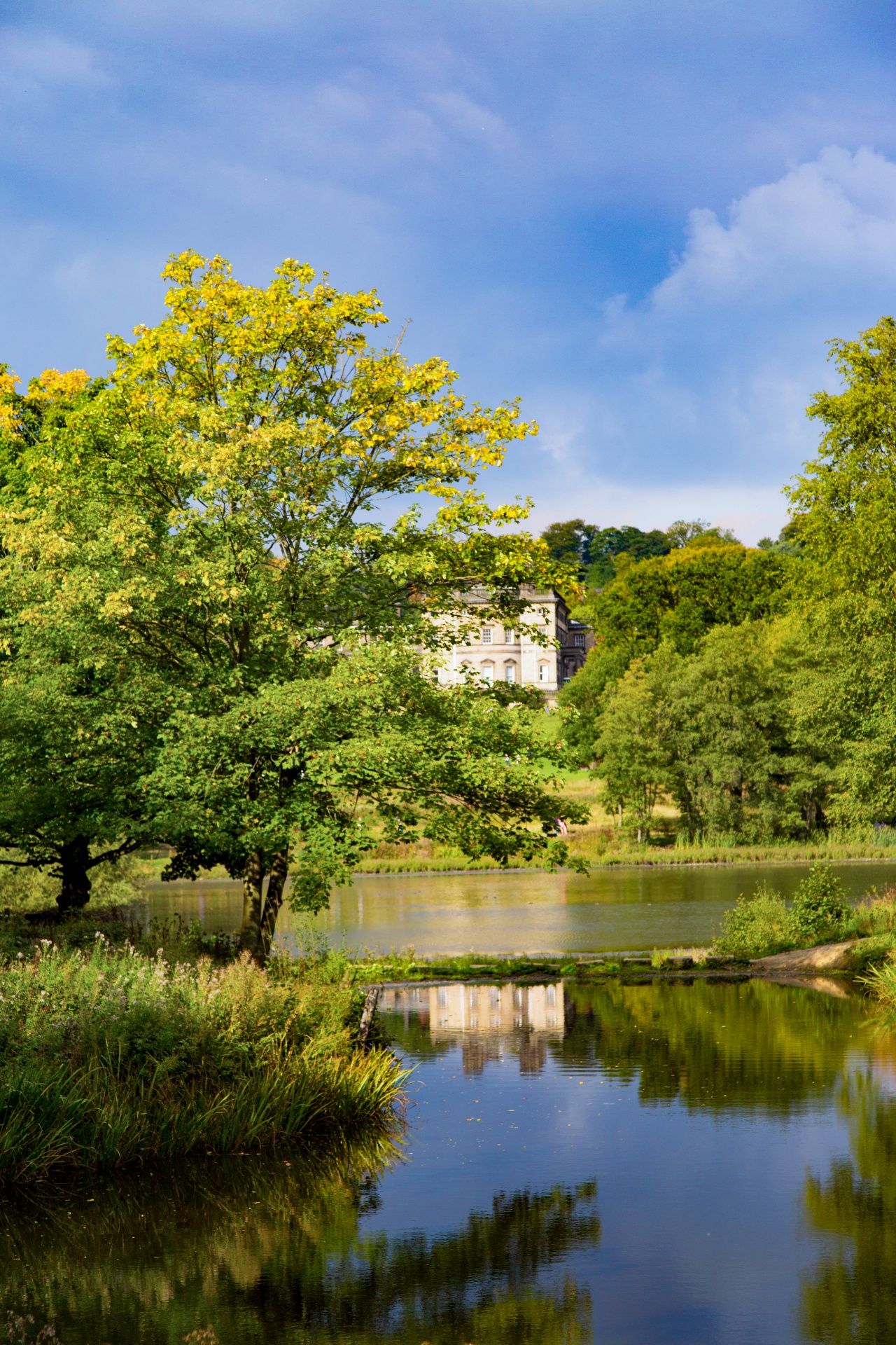 landscape nature tree free photo