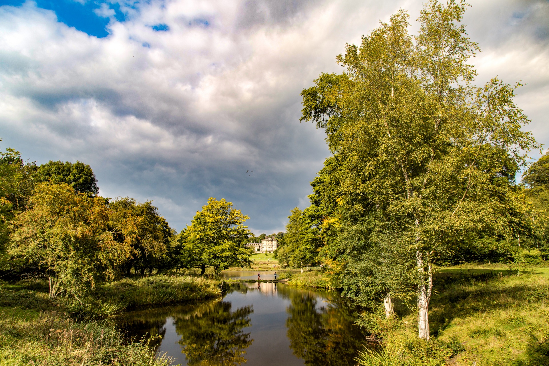 landscape nature tree free photo