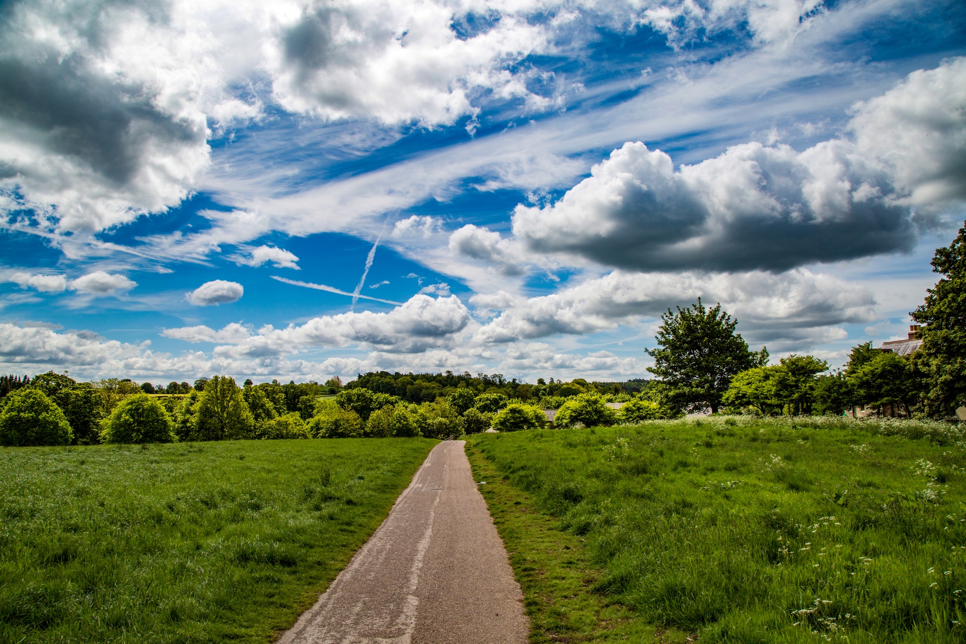 landscape nature tree free photo