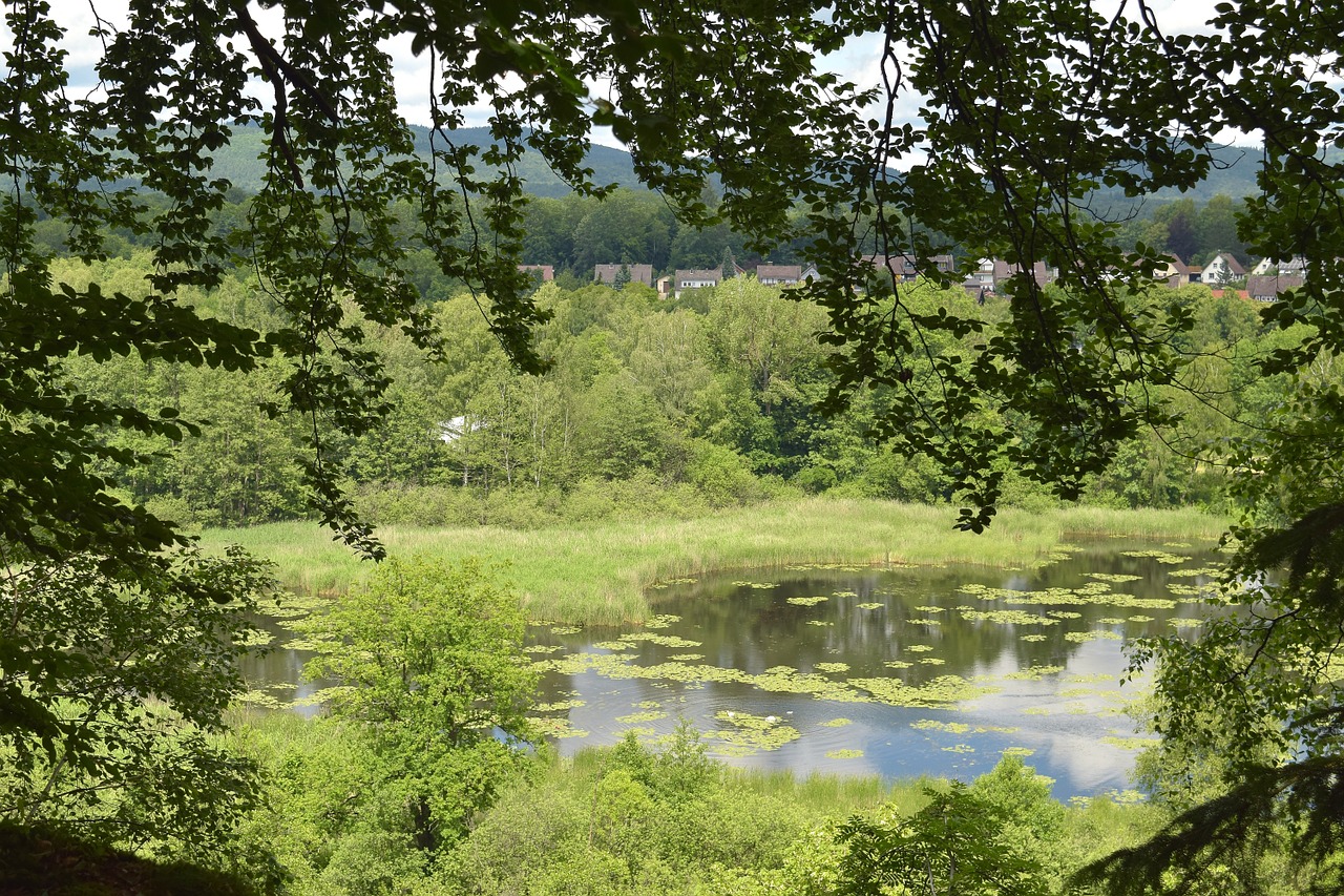 landscape pond lake free photo