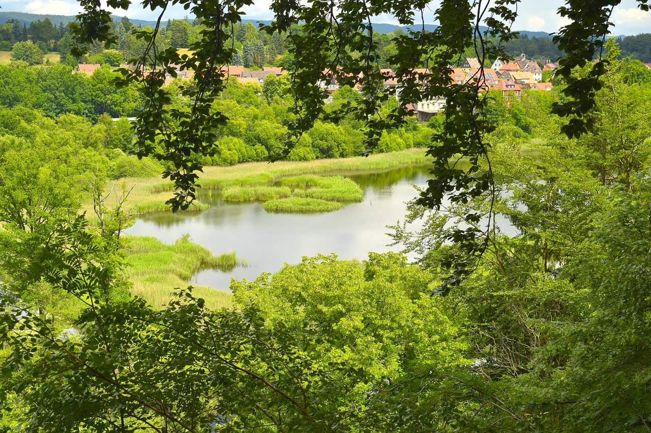 landscape pond lake free photo