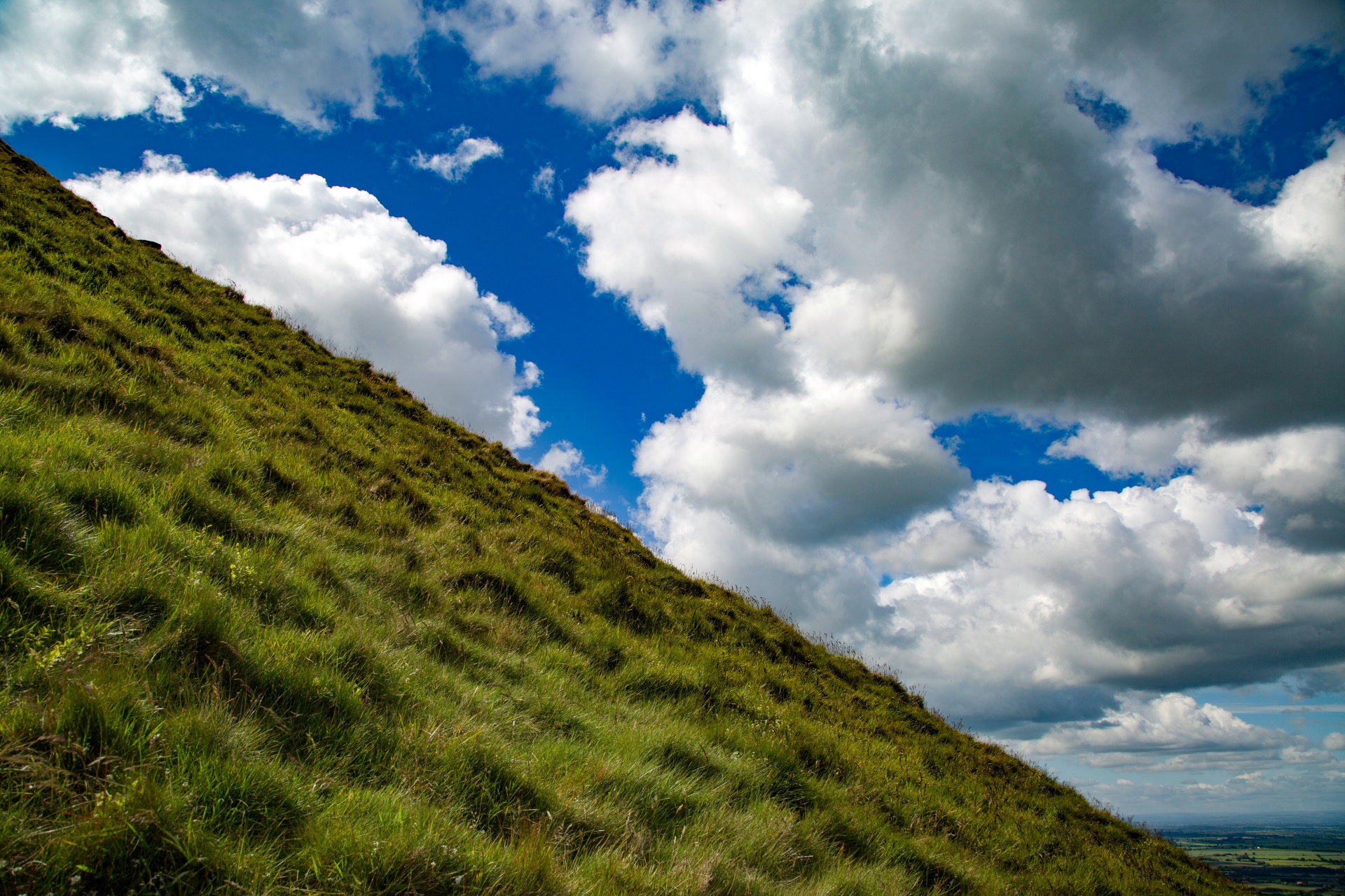 landscape nature tree free photo