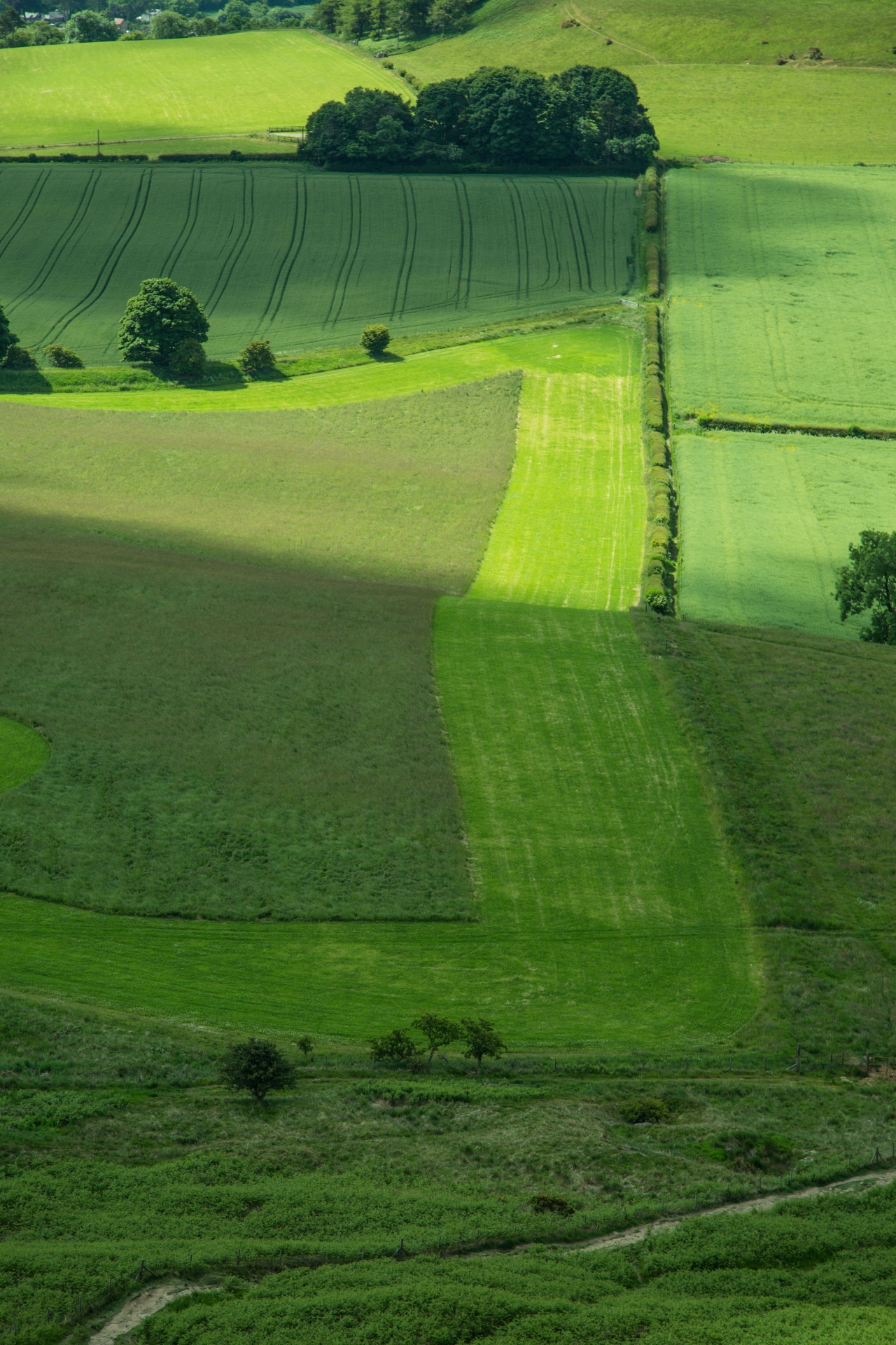 landscape nature tree free photo