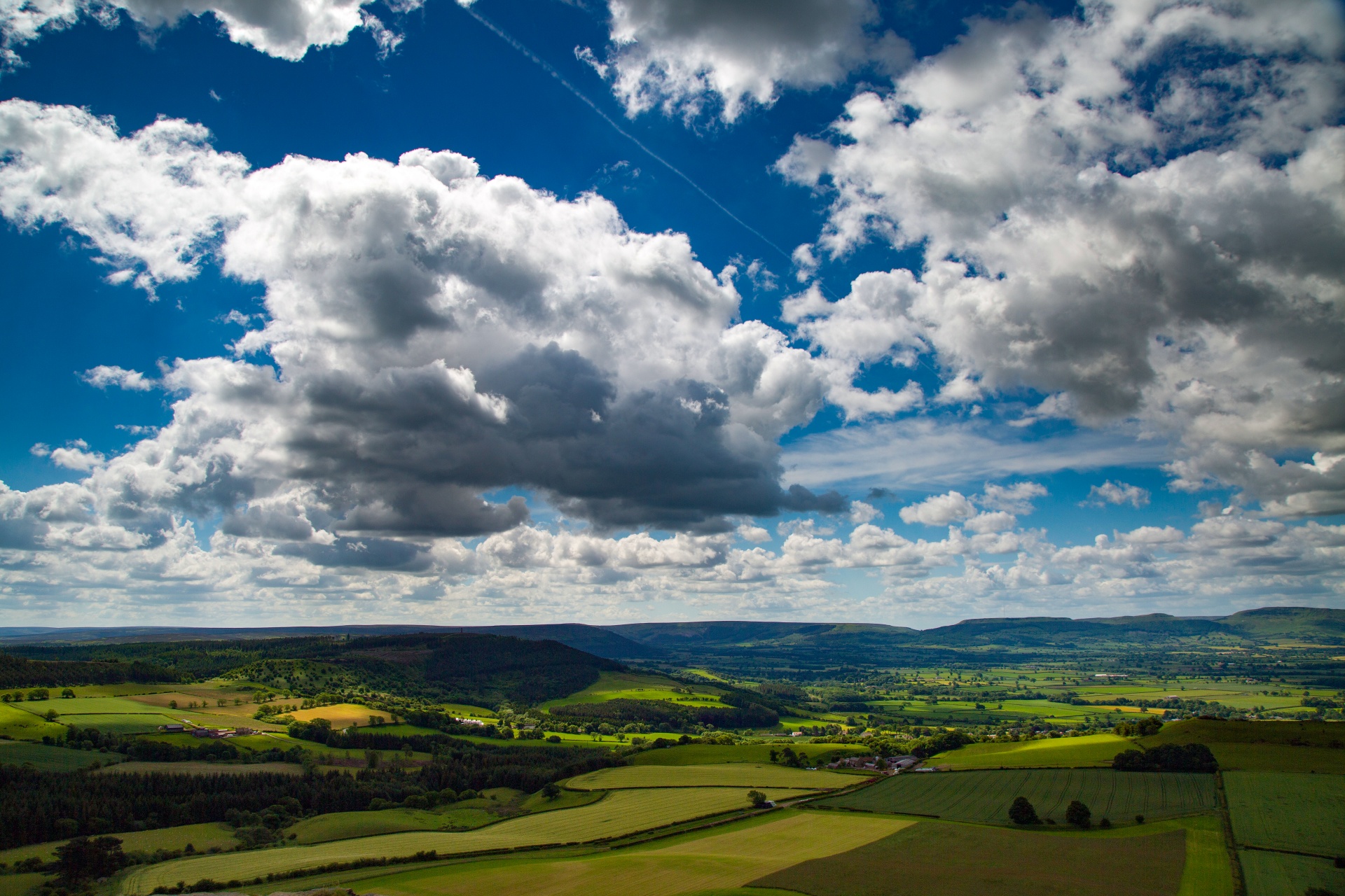 landscape nature tree free photo