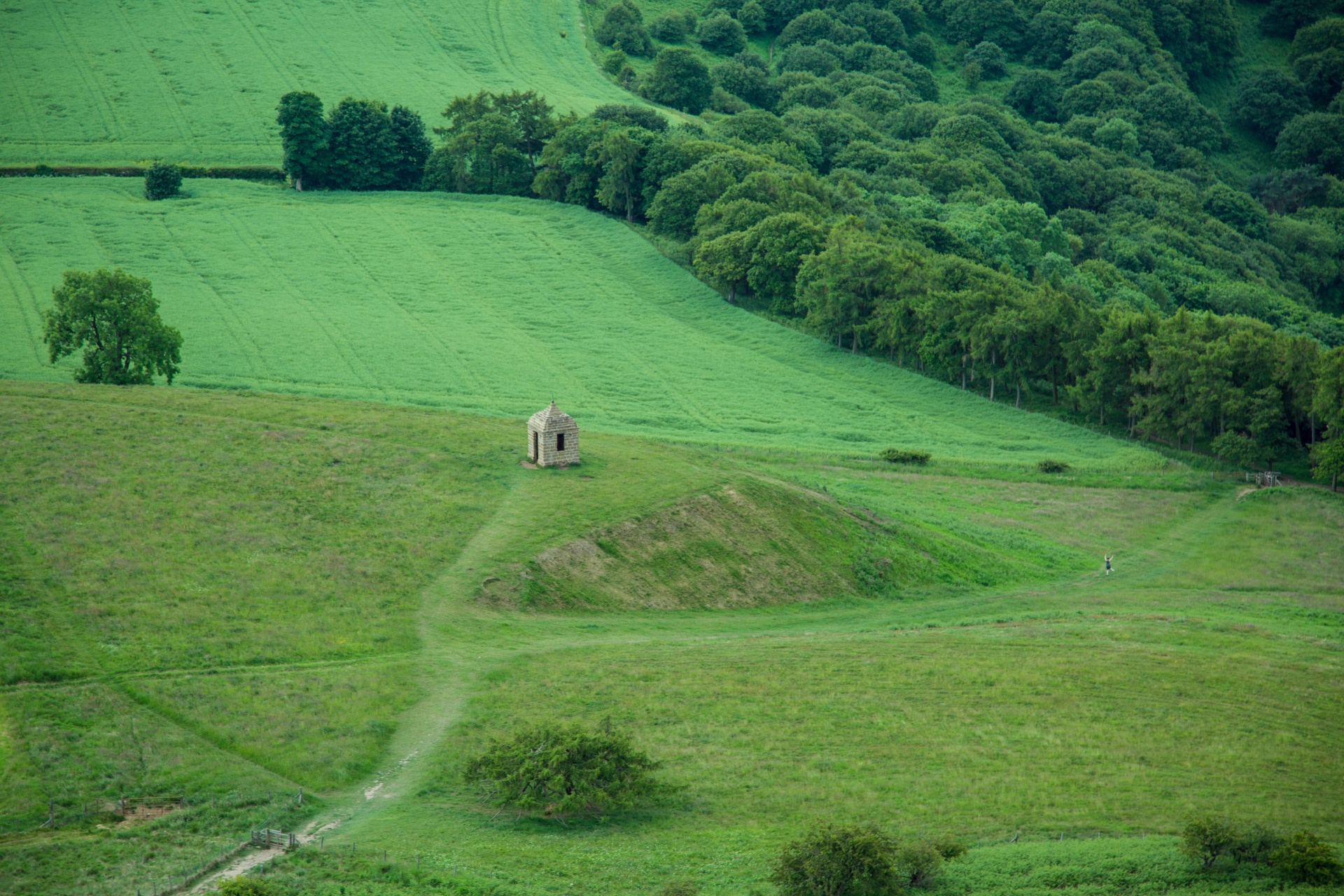 landscape nature tree free photo