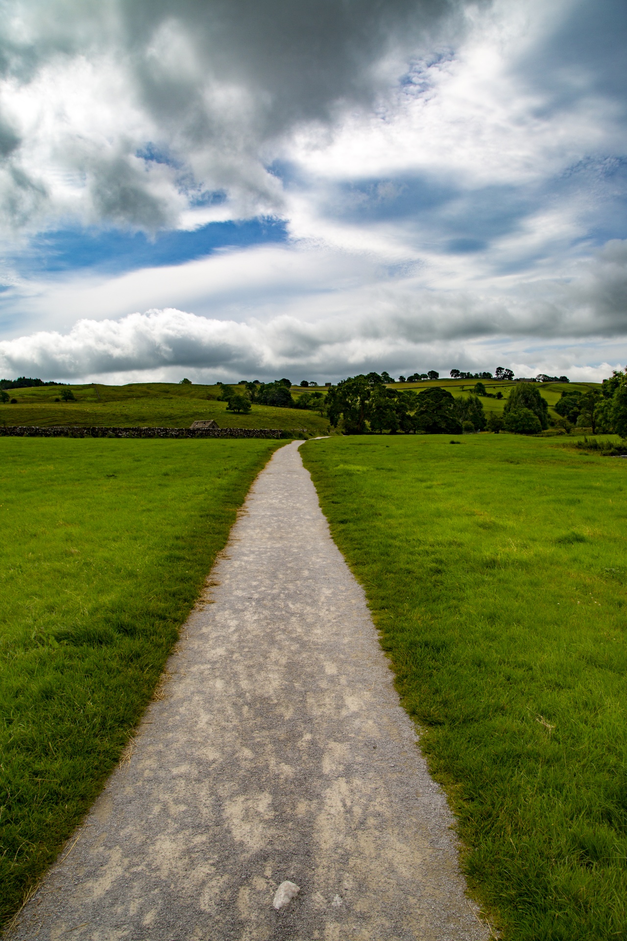 landscape nature tree free photo