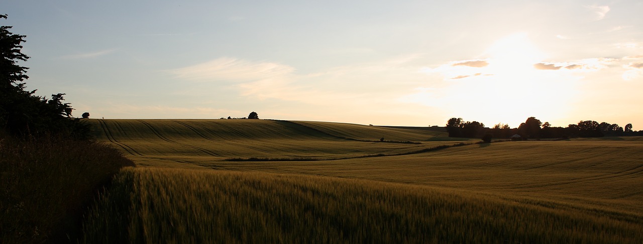 landscape summer natural free photo