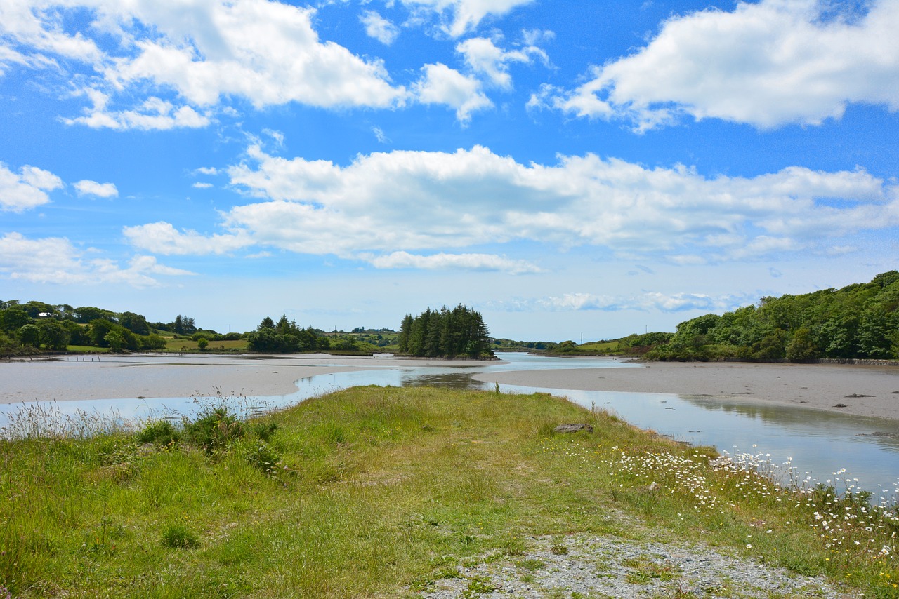 landscape sea inlet free photo