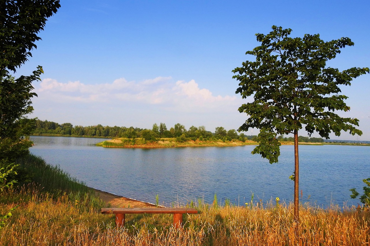 landscape lake trees free photo