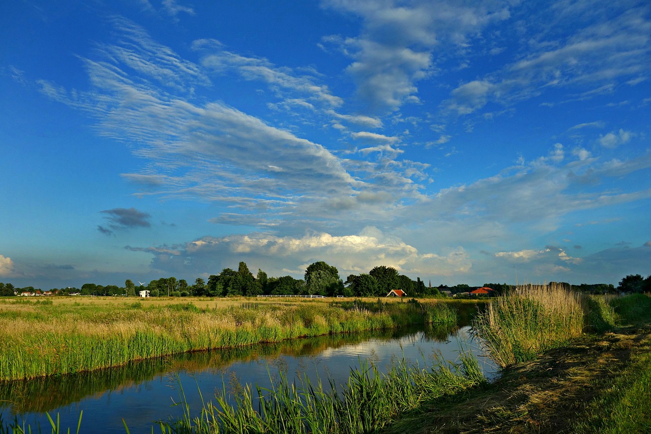 landscape dutch landscape polder free photo