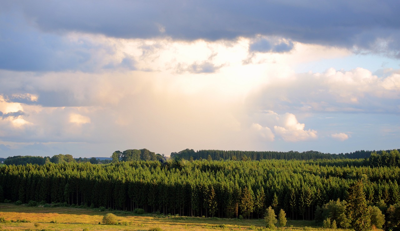 landscape clouds sky free photo