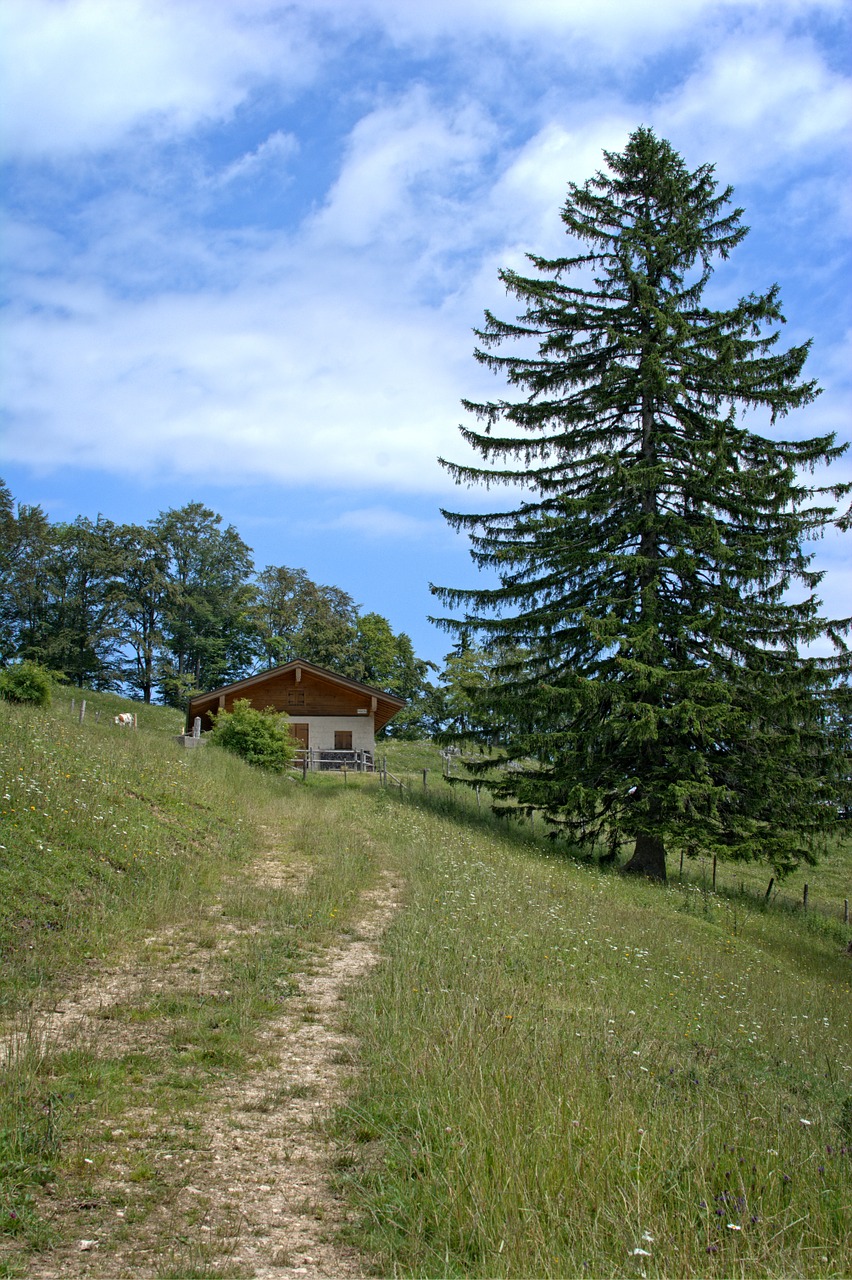 landscape nature bavaria free photo